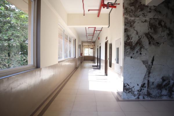 College image 9
